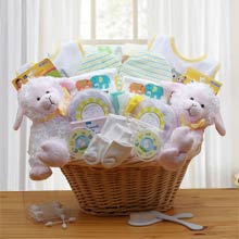 Baby Gift Basket for Twins