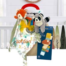 Personalized Gift Basket for Baby Boy