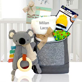 Personalized Gift Basket for Baby
