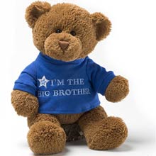 Big Siblings Teddy Bear