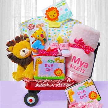 Deluxe Welcome Wagon for Baby Girl
