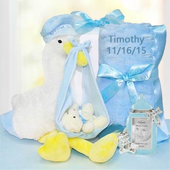 Baby Boy Stork Gift Box