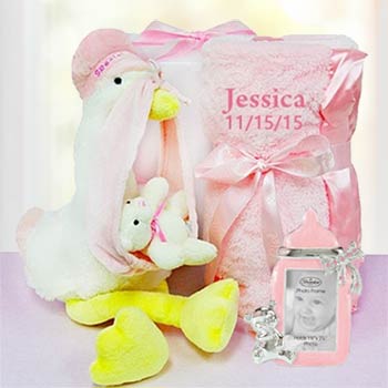 Baby Girl Stork Gift Box