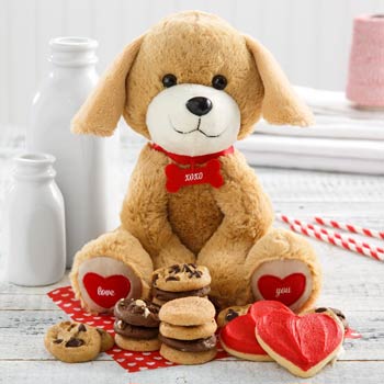 Valentine Puppy and Cookies Gift